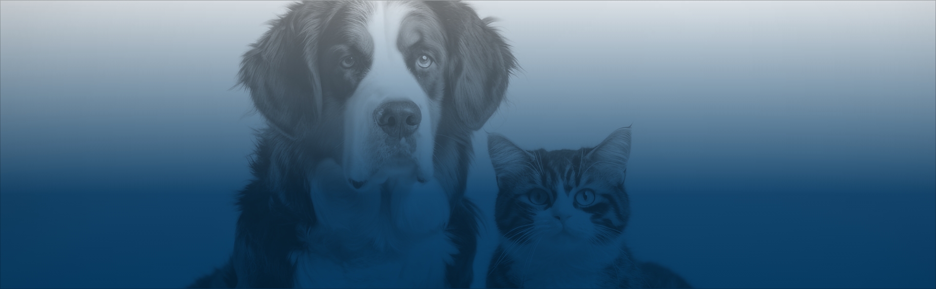 20_farmacovigilancia_y_servicios_del_mundo_real_para_companaiuas_veterinarias