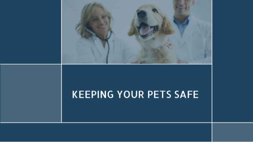 Vigilancia Post-Comercialización en Productos Veterinarios: Garantizando Seguridad y Eficacia