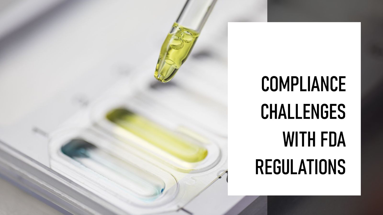 Regulaciones y Cumplimiento de la FDA: Garantizando la Seguridad en la Industria