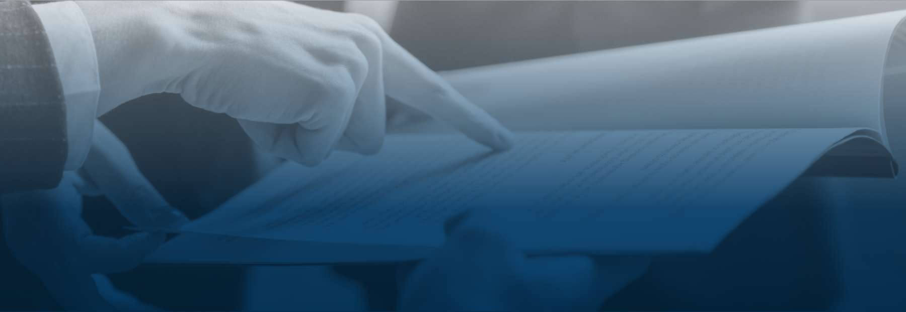 19_programas_de_investigacioun_de_mercado