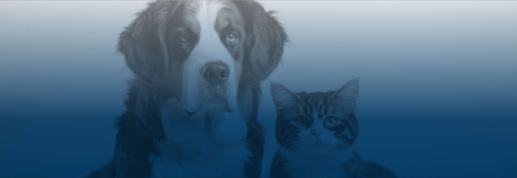 20_farmacovigilancia_y_servicios_del_mundo_real_para_companaiuas_veterinarias
