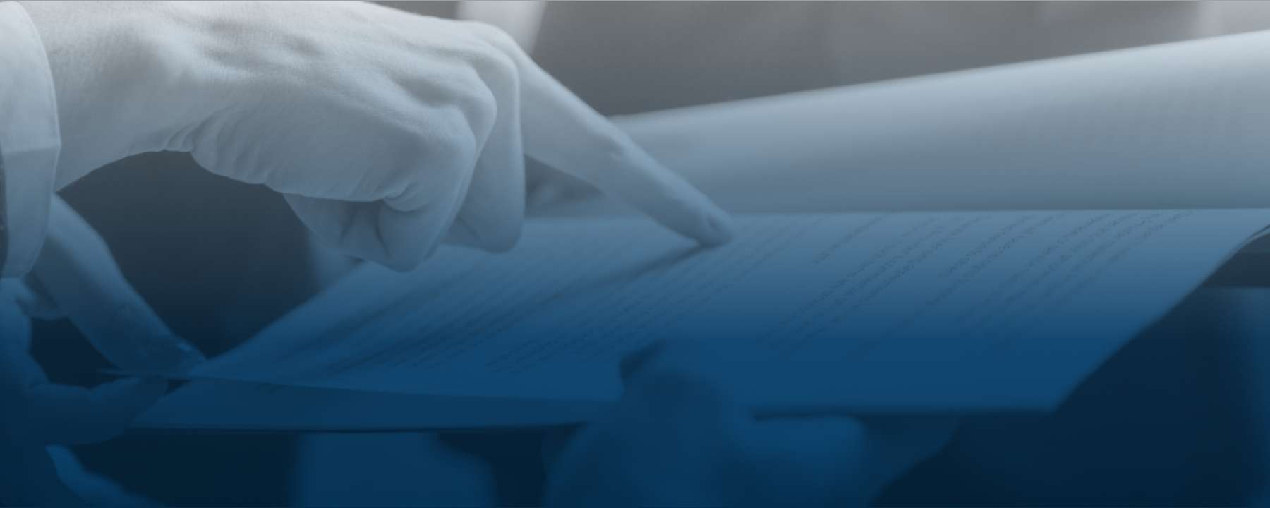 19_programas_de_investigacioun_de_mercado