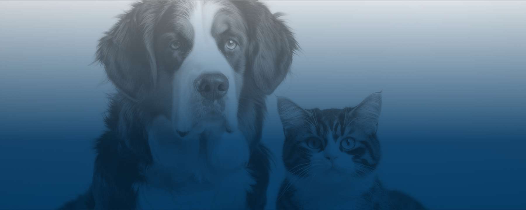 20_farmacovigilancia_y_servicios_del_mundo_real_para_companaiuas_veterinarias