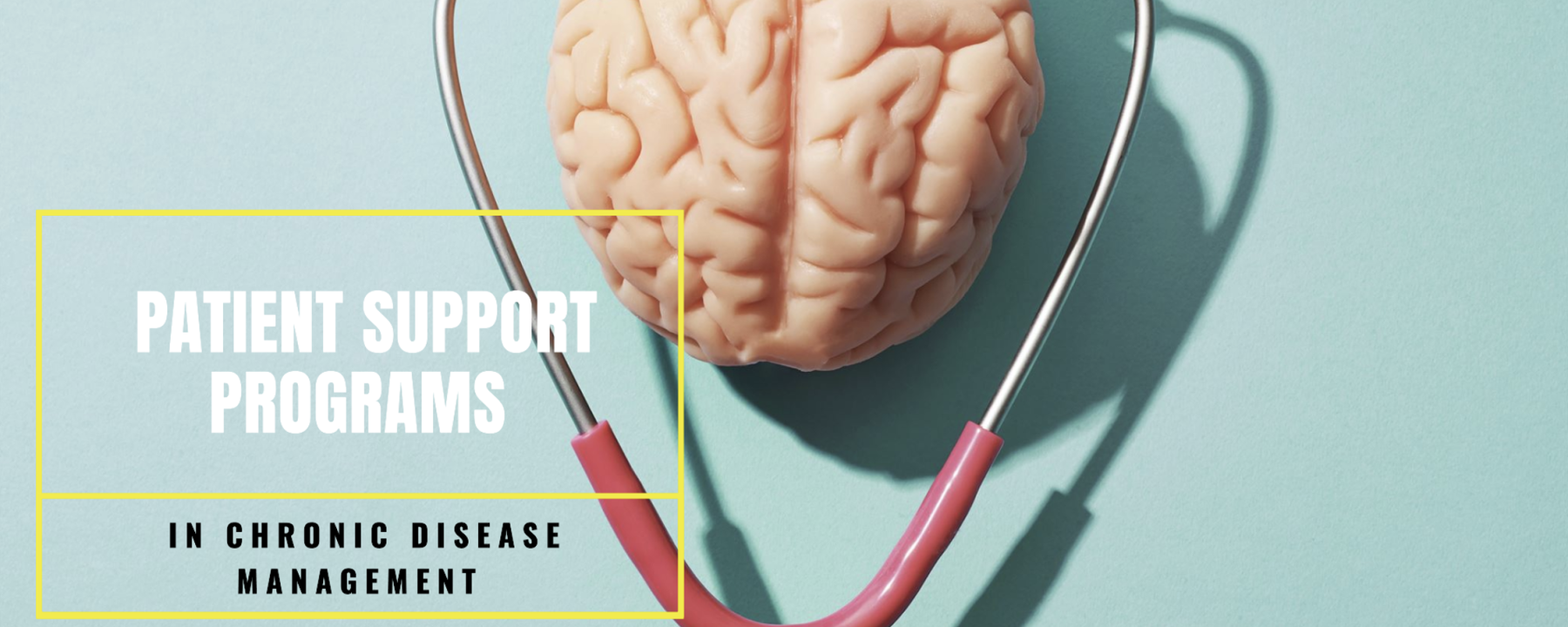 The Role of Patient Support Programs in Chronic Disease Management in LATAM